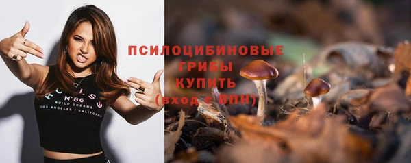 МДПВ Армянск