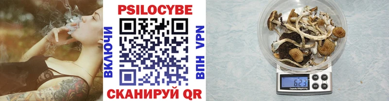 Галлюциногенные грибы Psilocybine cubensis Судак