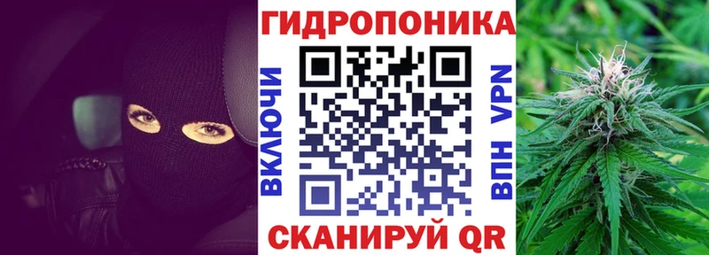что такое наркотик  Судак  blacksprut ссылка  Бошки марихуана сатива 